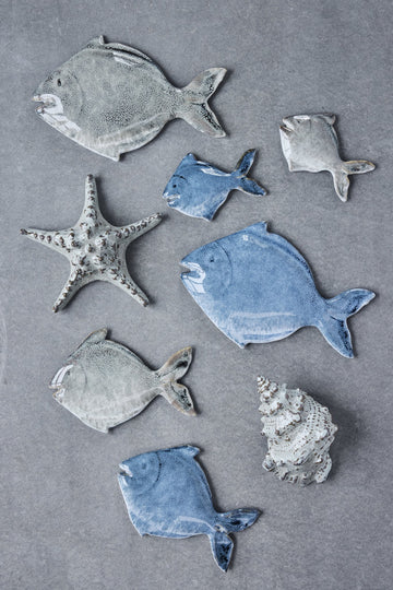 Shellille dekoration sjöstjärna D16.5 H5.5 Linne