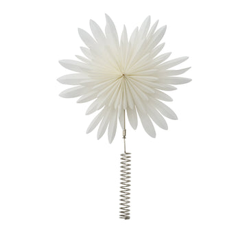 Palisia toppstjärna 25x25x30 cm.