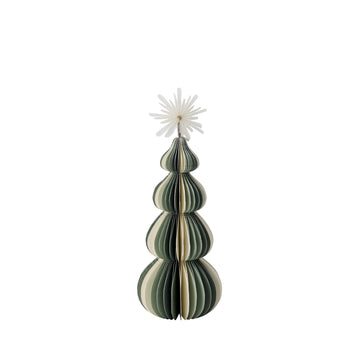 Paulinia träd xx15 cm.