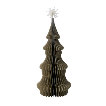 Paulia träd xx30 cm.