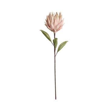 Happia blomma 77x16x16 cm.