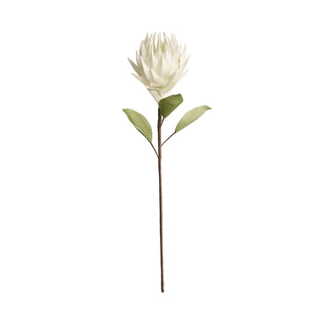 Happia blomma 77x16x16 cm.