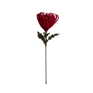 Happia blomma 68x32x32 cm.