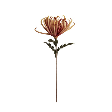 Happia blomma 68x32x32 cm.