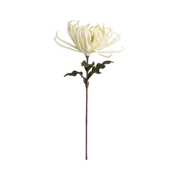 Happia blomma 68x32x32 cm.