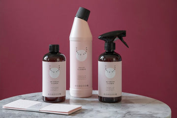 Cleaning Svampduk 2 st.